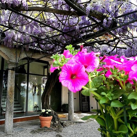 Antico Glicine B&B Maslianico Екстериор снимка
