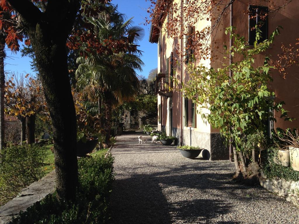 Antico Glicine B&B Maslianico Екстериор снимка