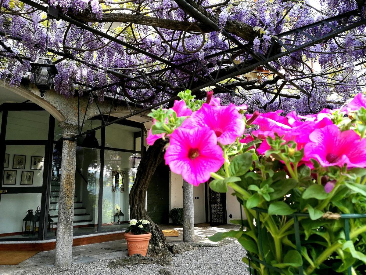 Antico Glicine B&B Maslianico Екстериор снимка